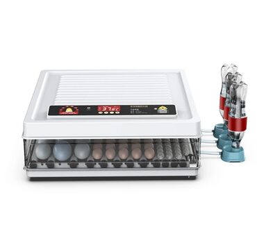 Oprema za kućne ljubimce: INKUBATOR Automatski nove generacije za 130 jaja 12v/220v — 2