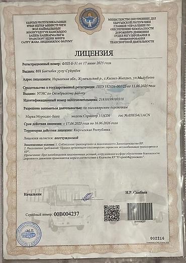 cdi: Пассажирский микроавтобус Mercedes‑Benz Sprinter 311 CDI - Тип — 3