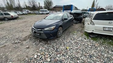 muzhskaja odezhda leto 2016 foto: Toyota Camry: 2016 г., 2.5 л, Автомат, Гибрид, Седан
