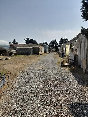 varovskide torpaq satilir: 135 sot, Biznes üçün, Kupça (Çıxarış) — 6