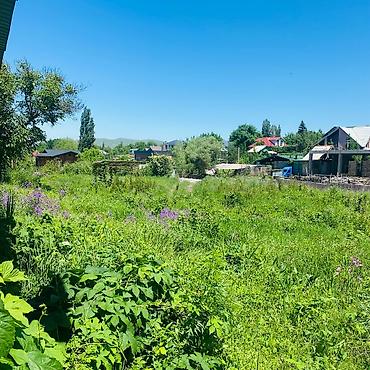 участок камин: 11 соток, Для строительства, Договор купли-продажи, Красная книга, Тех паспорт — 6