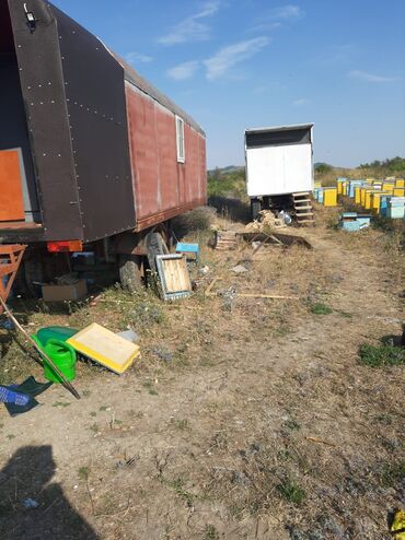 Digər kənd təssərüfat avadanlığı: Köçəri arıçılıq üçün komplekt trailer-karavanlar və avadanlıqlar - Üç — 3