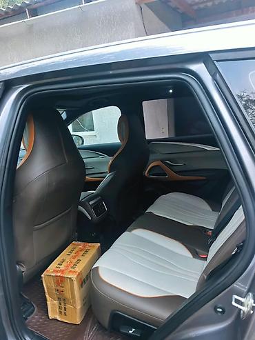 BYD: BYD Song Pro: 2022 г., Кроссовер — 4