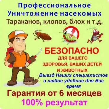 дезинсекция: Дезинфекциялоо, дезинсекциялоо, | Канталалар, Бүргөлөр, Таракандар, | Транспорт, Офистер, Батирлер