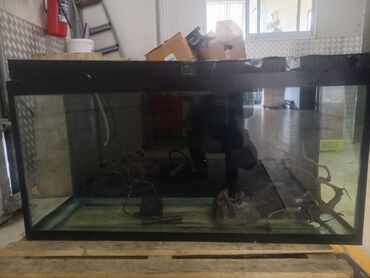 akvarium aksesuarları: Salam şəffaf 10 mm şüşədən cox keyfiyyətli yığılıb, icində bütün