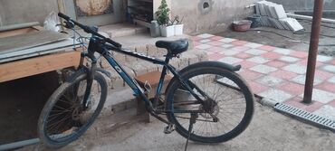 skoruslu velosiped: İşlənmiş İki təkərli Uşaq velosipedi 28", Ünvandan götürmə