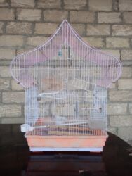 Yemlər: Tuyuquşu qəfəsləri satılır. Böyük qəfəs 25 azn, kiçik qəfəs 15 azn