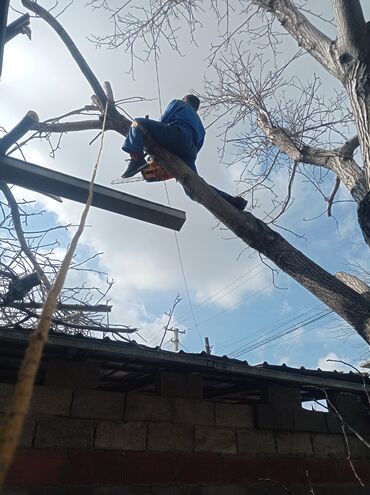 Спил деревьев, заготовка дров: Тынар гарантия 100%., спилю деревья,, любой сложности#1 _тынар супер — 7