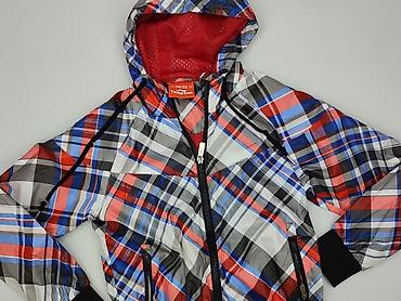 pull and bear sweter w paski: Kurtka przejściowa, 9 lat, 128-134 cm, stan - Bardzo dobry — 1
