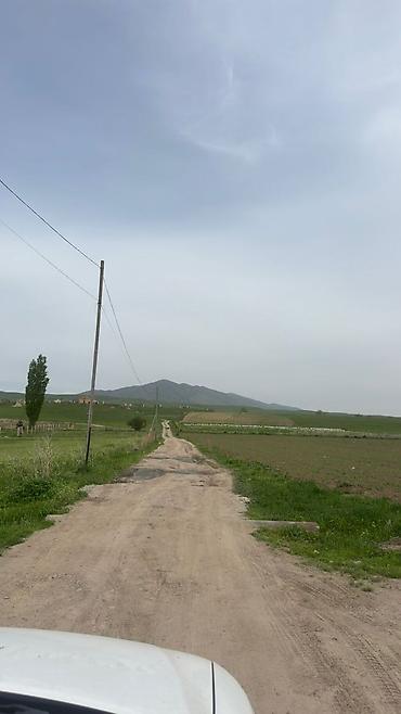 Продажа участков: 78 соток, Для сельского хозяйства — 8