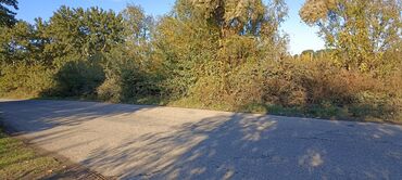 Torpaq sahələrinin satışı: 58 sot, Kənd təsərrüfatı, Barter mümkündür, Kupça (Çıxarış) — 3