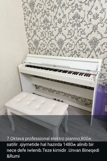 Fleytalar: Digər musiqi alətləri