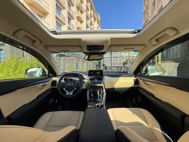 недорогие скутеры: Lexus NX: 2019 г., Автомат, Кроссовер