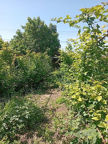 Продажа коттеджей и домов: Продаю дом совхоз ада тоо, участок 11соток, дом 4 к, кух, баня, гараж — 8