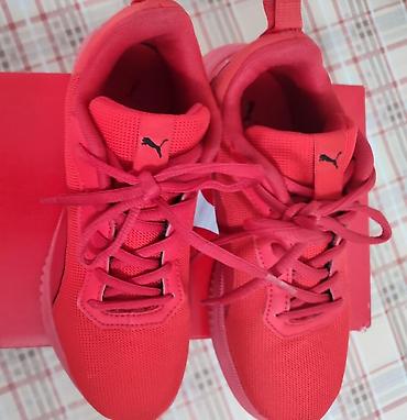 туфли mango: КРОССОВКИ PUMA ОРИГИНАЛЬНЫЕ РАЗМ 35 СОСТОЯНИЕ КАК НЛВЫЕ НОСИЛИ СОВСЕМ — 2