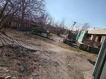 Продажа коттеджей и домов: ПРОДАЁТСЯ ДОМ С УЧАСТКОМ 1 ГЕКТАР В СЕЛЕ Григорьевка (район пристани) — 5