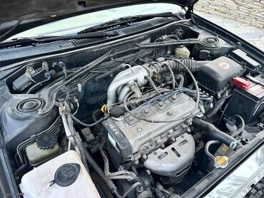 Toyota: Toyota Corolla: 1.3 l. | 1999 έ. Χάτσμπακ — 8