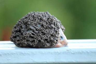 Figure: JEŽ vintage umetnička keramika. Umetnička keramika. Dimenzije cca: 8 x — 7