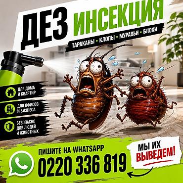гигиена: Дезинфекциялоо, дезинсекциялоо, | Кумурскалар, | Батирлер — 7