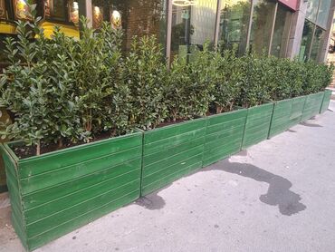 Другие товары для дома: Kafe bağlandığı üçün 120 azn yox 90 azn-ə mayasından aşağı satılır