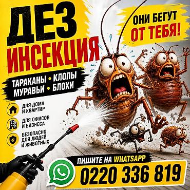 гигиена: Дезинфекциялоо, дезинсекциялоо, | Кумурскалар, | Батирлер — 5