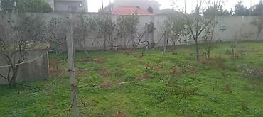 pirşağı bağları: 4 sot, Tikinti, Makler, Kupça (Çıxarış) — 2