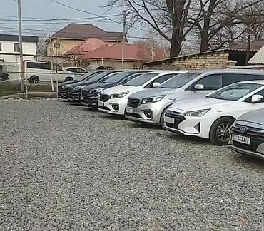 Kia: Kia Carnival: 2020 г., 2.2 л, Автомат, Дизель, Минивэн — 13