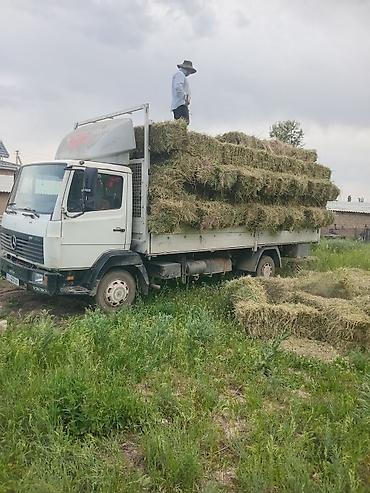 акорд 1 8: Грузоперевозки на бортовом грузовике Mercedes-Benz - Тип — 4