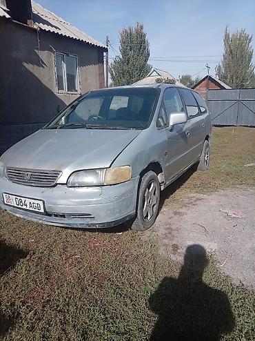 Honda Odyssey: 1995 г., 2.3 л, Автомат, Бензин, Минивэн