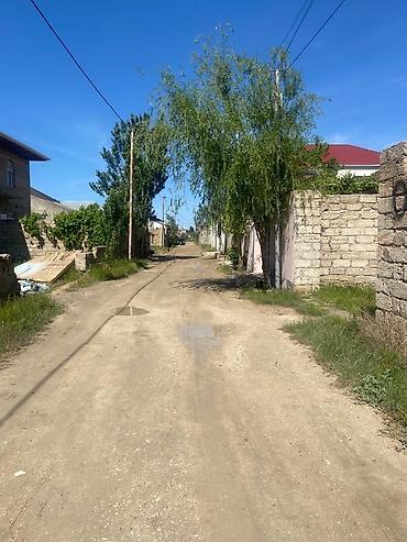 kupcali ev: Tikinti, Kupça (Çıxarış) — 4
