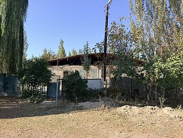 продаю дом 20000: 5 комнат, 150 м², 8 соток, Шевченко, Собственник — 3