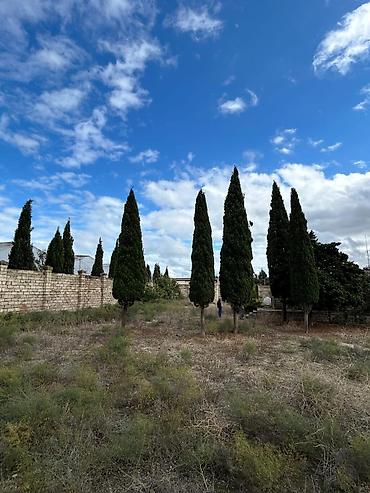 Torpaq sahələrinin satışı: 24 sot, Tikinti, Mülkiyyətçi, Kupça (Çıxarış) — 1