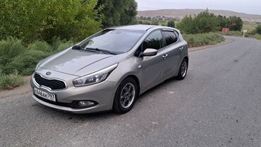 авто алфард: Kia Ceed: 2013 г., 1.6 л, Механика, Бензин, Хэтчбэк