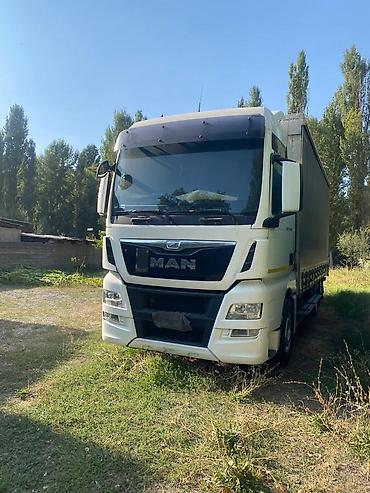 sprinter 2003: Тягач, MAN, 2014 г., Шторный — 5