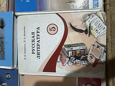 Учебники: Книга для 5 класса - Информатика, 5 - Человек и общество, 5 - История — 4