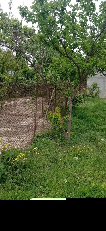 Torpaq sahələrinin satışı: 9 sot, Tikinti, Mülkiyyətçi, Kupça (Çıxarış) — 14