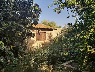 ağcabədi: 6 otaqlı, 200 kv. m, Orta təmir — 7