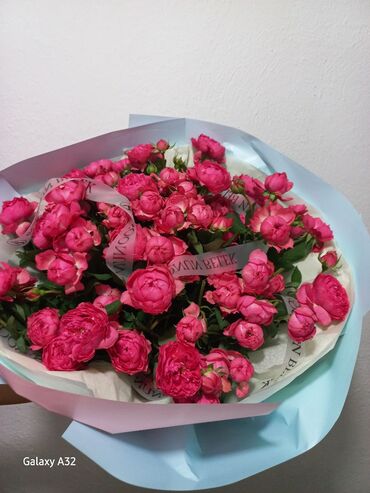 цветы оптом розы: Пионы продаю, свежие 6000, уступлю