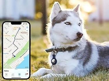 heyvanlar itler: 🐶🐱 İt və pişiklər üçün GPS izləmə cihazı Sevimli dostunuzun yerini — 1
