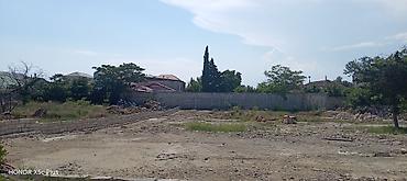gence pasyolka: 13 sot, Kupça (Çıxarış) — 3