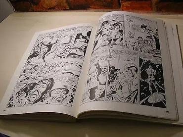 knowledge zenith: PEGAZ broj 6 revija za istoriju i teoriju stripaGodina II broj — 3