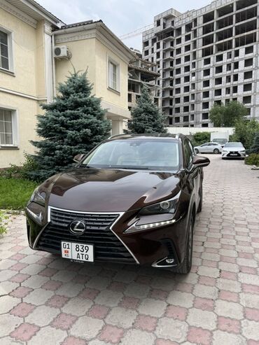 runx alex: Lexus NX: 2018 г., 2 л, Автомат, Бензин, Кроссовер
