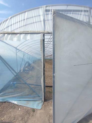 Теплицы: Тепличный комплекс каркасно-пленочного типа - Пролетная теплица с — 6