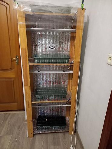 лампы для рассады: Продам деревянный стеллаж для рассады с таймером, подсветкой, ячейками — 2