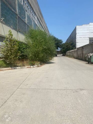 Anbar və emalatxanalar: İcarəyə Anbar Verilir! Bakı şəhəri, Babək prospekti yaxınlığında — 2