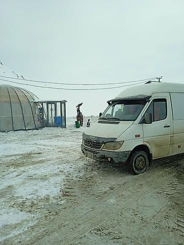 двери авто: Легкий грузовик, Mercedes-Benz, Стандарт, Б/у — 4