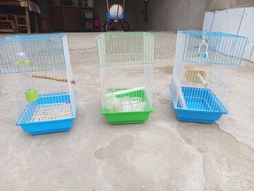 Heyvanlar üçün mallar: Quş qəfəsləri – müxtəlif rənglərdə - Material: ağ metal barmaqlıq