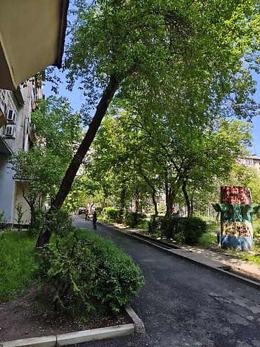 Уборка территории: Уборка территории, Уборка двора и сада — 1