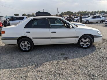 тойота алхарт: Toyota Corona: 1999 г., 1.8 л, Автомат, Бензин, Седан