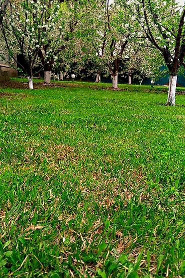 Продажа домов: Дом, 120 м², 4 комнаты, Собственник, Евроремонт — 6